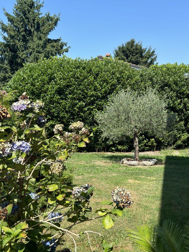 guest house con vista sul Monte Rosa a Sizzano